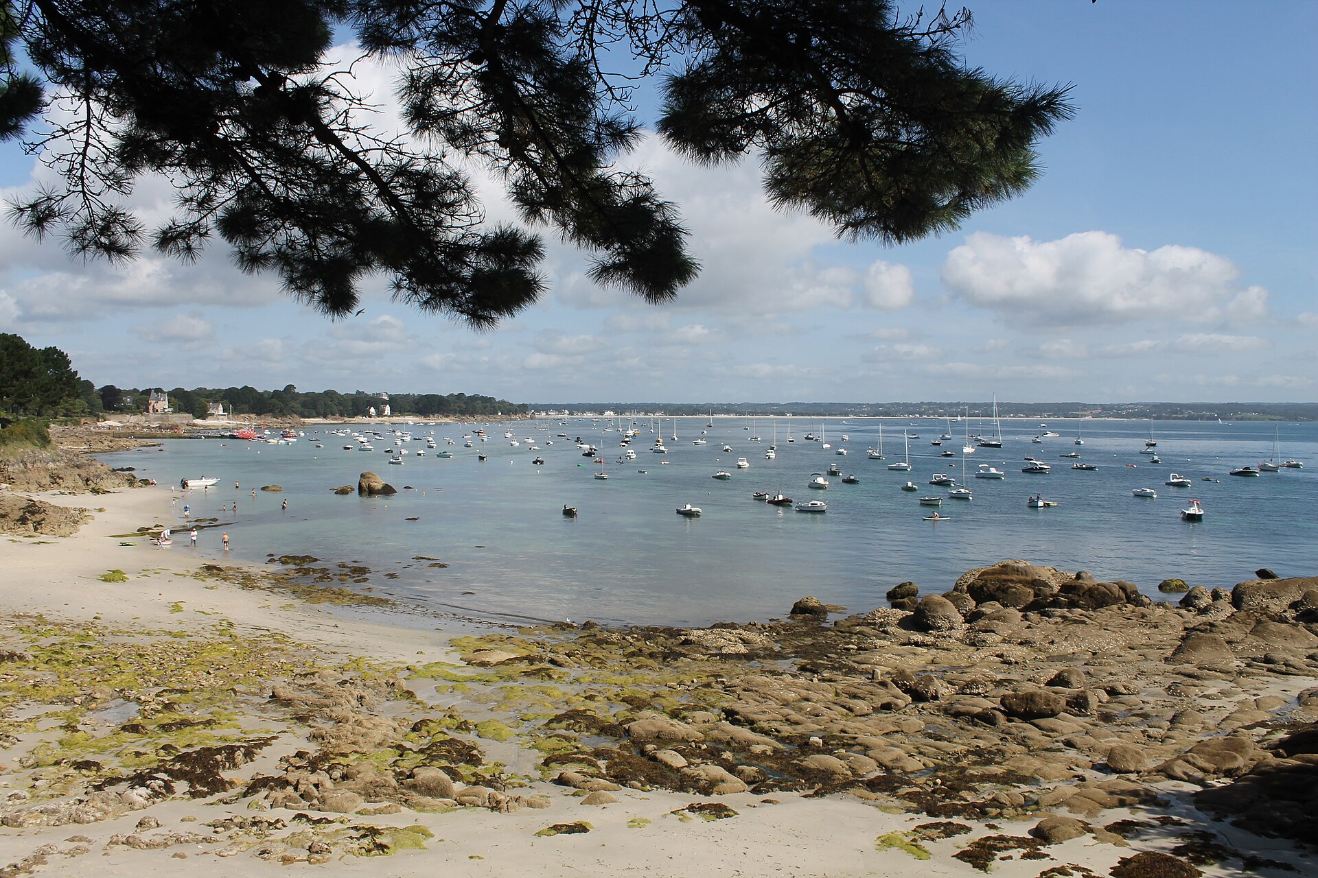 Crique de Beg-Meil encadree de pins, bateaux dans la baie de La Foret