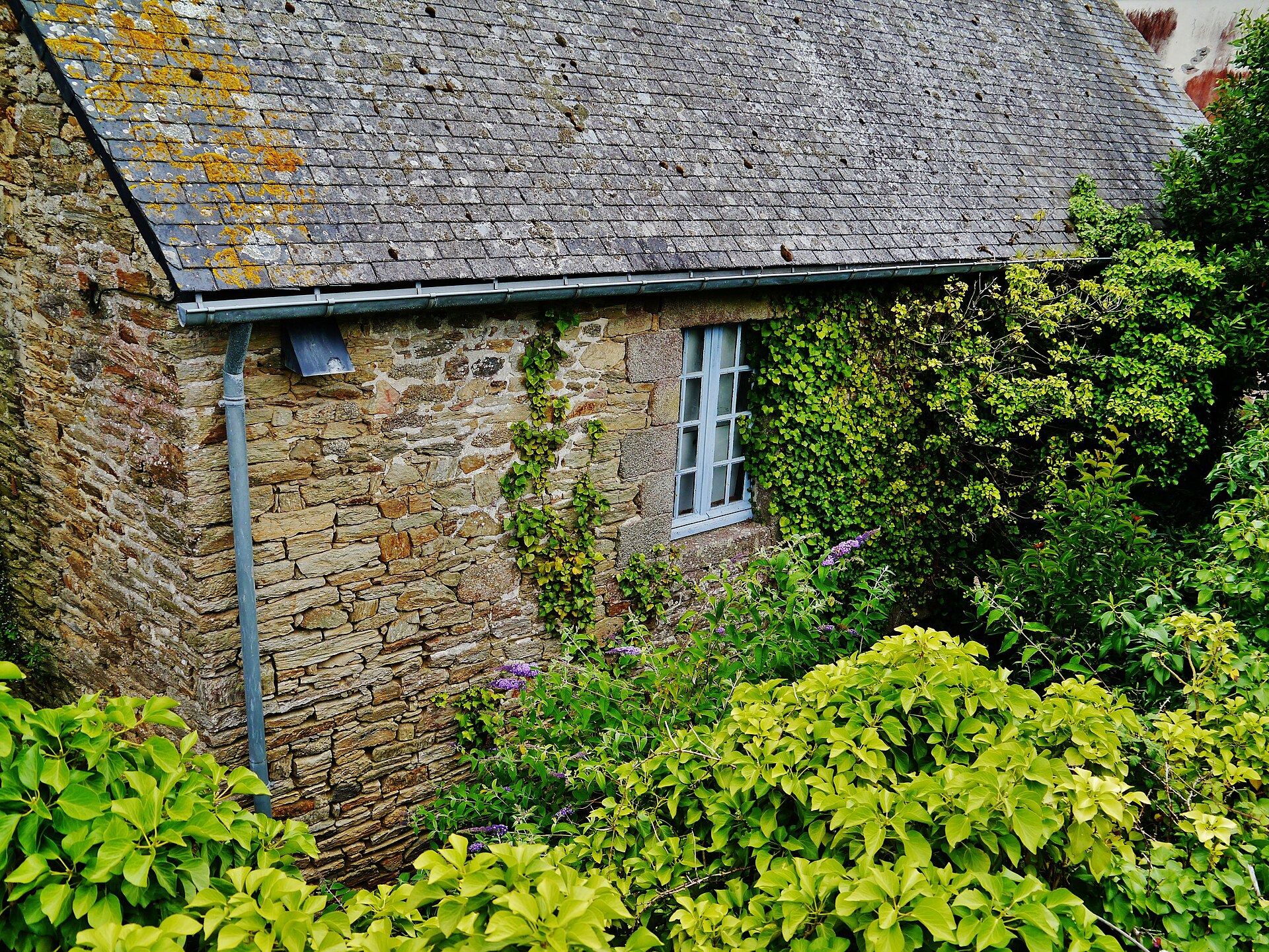 Ruelle pavée et maison ancienne de la Ville Close de Concarneau