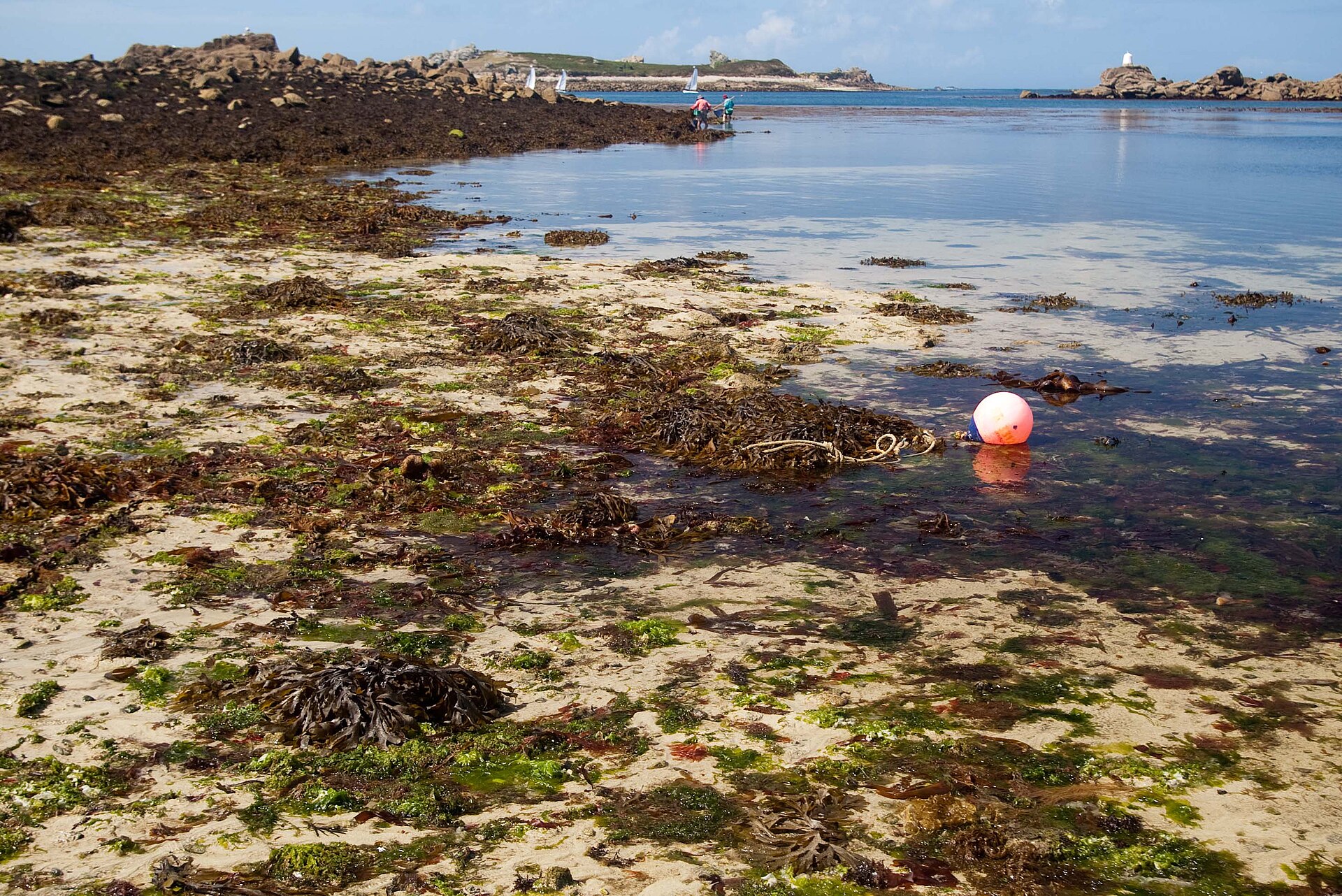 Vaste estran découvert à marée basse sur la côte du Finistère