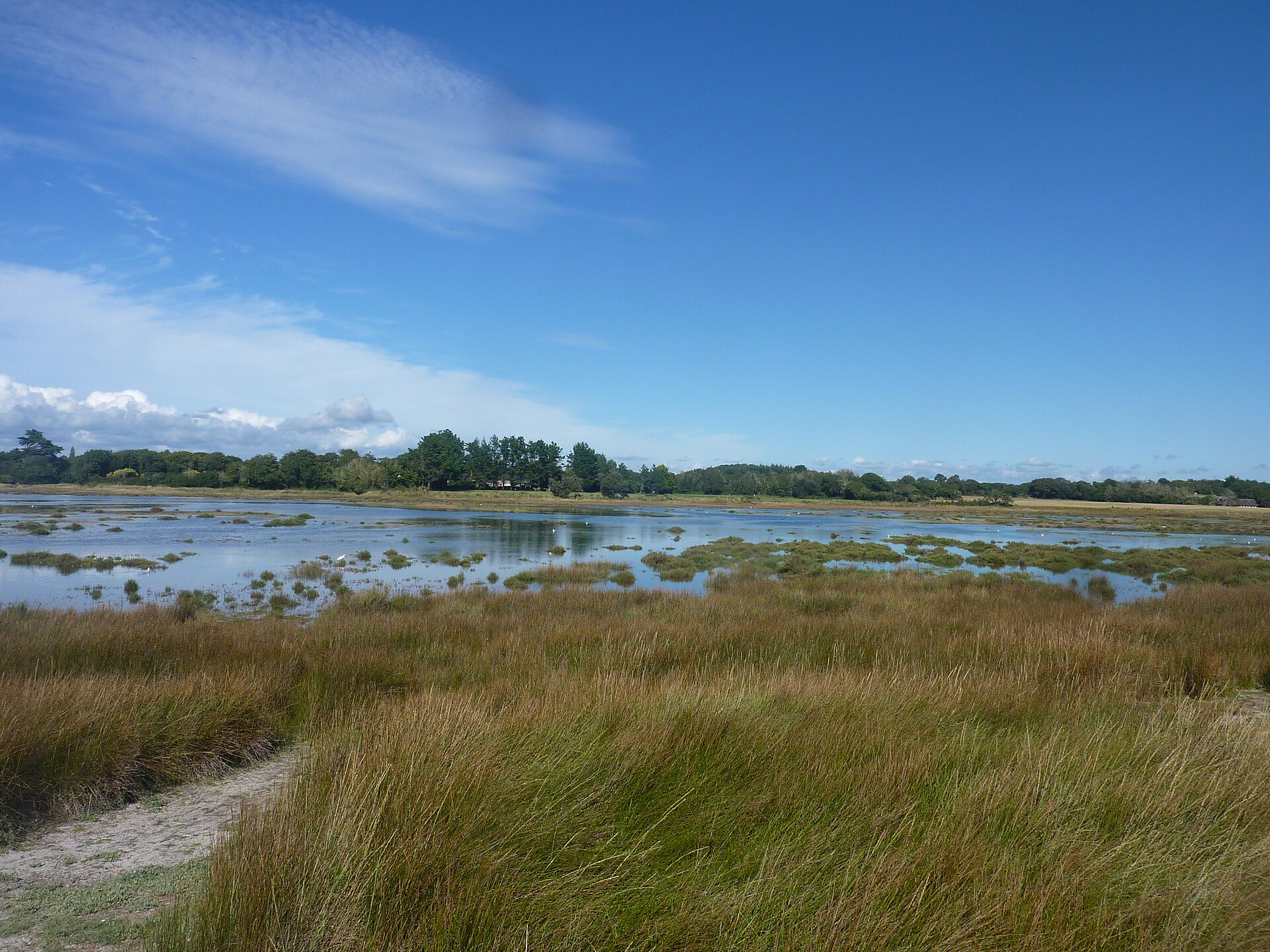 La Mer Blanche à Mousterlin, lagune peu profonde, roseaux et oiseaux sous un ciel bleu