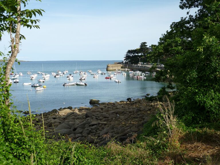 La crique portuaire de Port-Manec h a l embouchure de l Aven, bateaux et pins